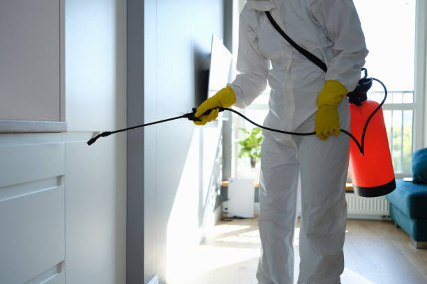 Best Commercial Mold Remediation in Amarillo, TX