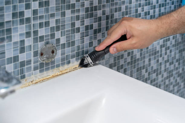 Best Mold Remediation for Specific Building Types in Amarillo, TX